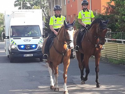 jízdní policie